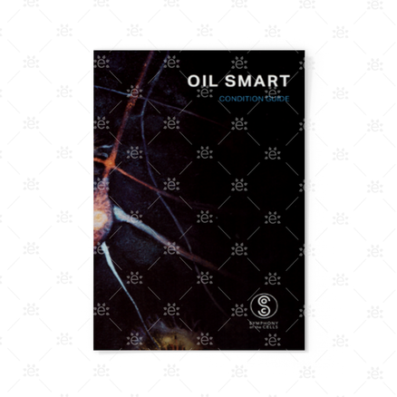 Oil Smart – Oppslagsbok om eteriske oljer, 2025-utgaven (engelsk)