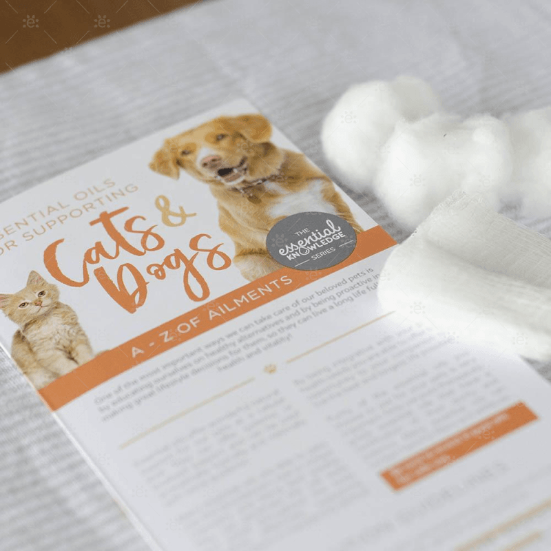 Cats & Dogs A–Z of Ailments infokort plassert sammen med førstehjelpsutstyr, perfekt som hurtigreferanse om eteriske oljer til hund og katt.