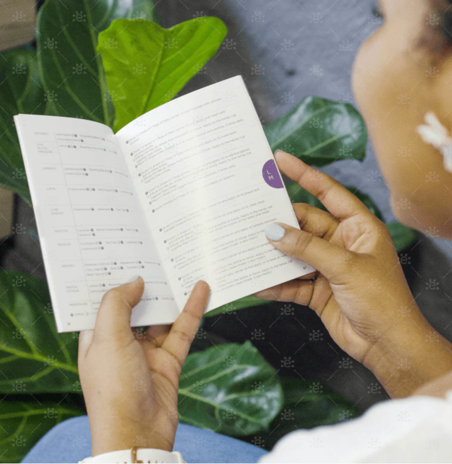 Person som blar i The Basics & A–Z Guide – mini guide til eteriske oljer på engelsk