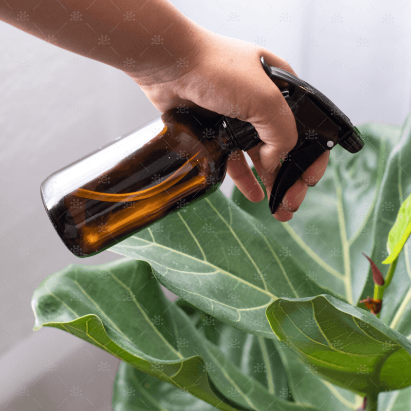 sprayflaske 240 ml brun glass brukt til plantespray