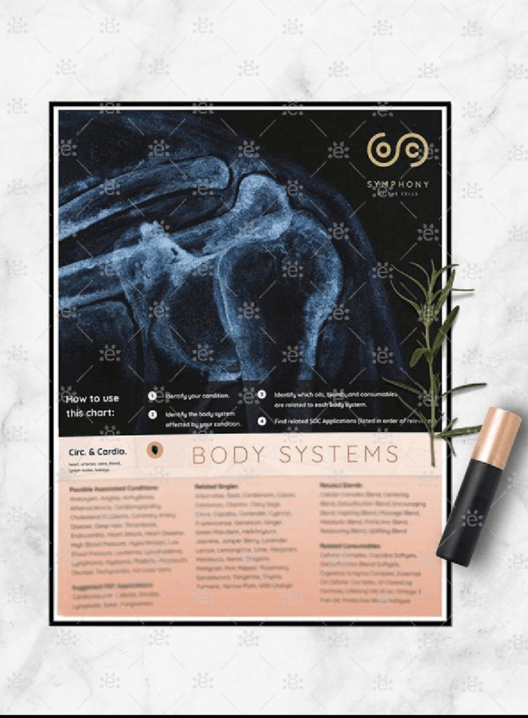 Symphony of the Cells™ Body Systems Chart med oversikt over kroppssystemer og eteriske oljer