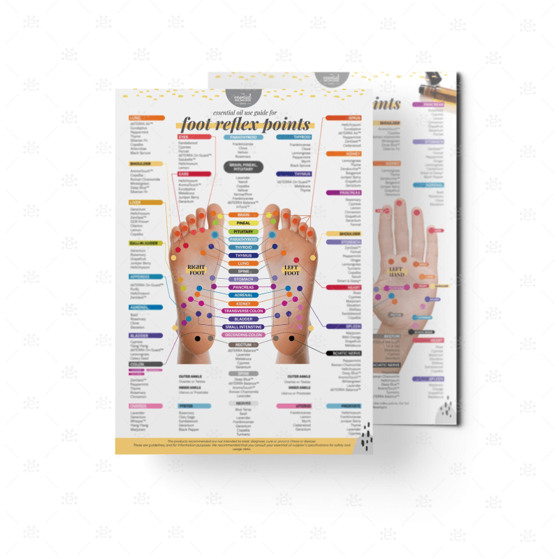 Oil Use Guide For Reflex Points (Foot & Hand)